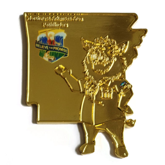 Northwest Arkansas Area 2024 Believe the Promise pin - Gold